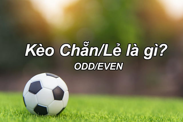 Mô tả về Chương trình Phần thưởng 50000 trên trang web Ke68 Gaming - Ke68