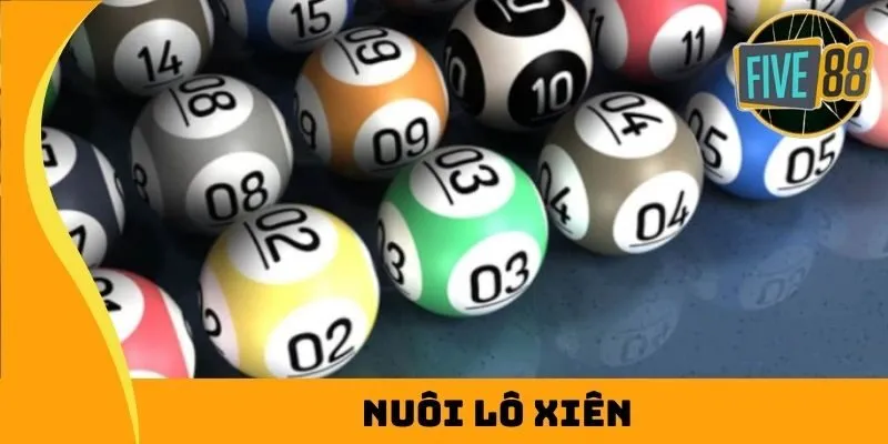 Hướng dẫn cơ bản về vận hành Kubet - Kubet