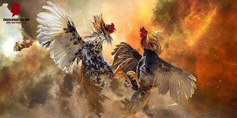 Hãy gia nhập cùng chúng tôi với tư cách là đại lý cấp Z8bet và kiếm tiền dễ dàng! - Z8bet
