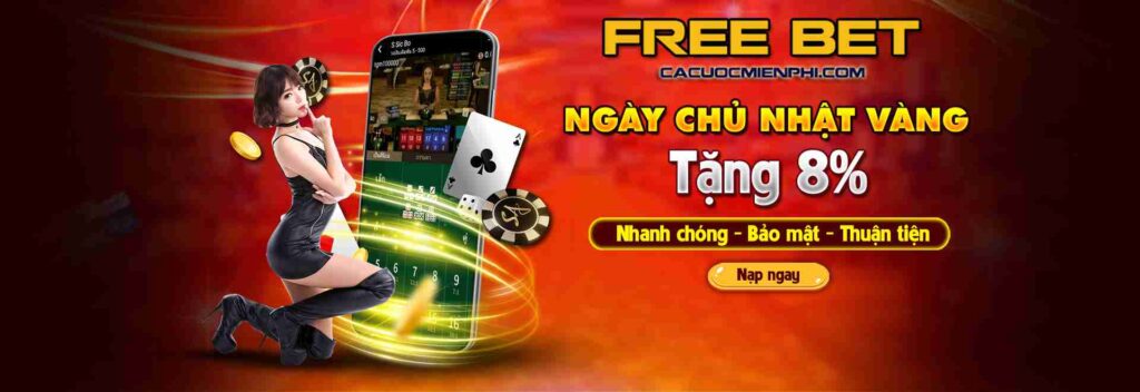 Tổng quan cơ bản về Suncity - Suncity