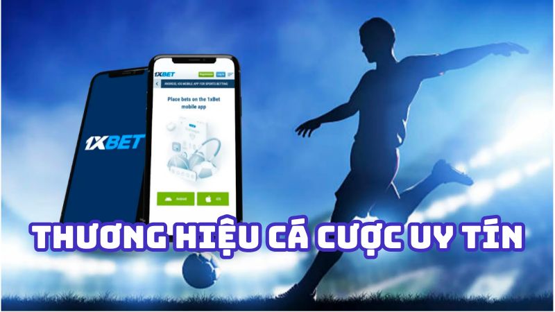 Ok33 cung cấp dịch vụ cá cược thể thao chất lượng cao - Ok33
