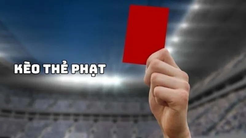 Nền tảng 77Bet tặng điểm thưởng miễn phí cho 55 người dùng đầu tiên - 77Bet