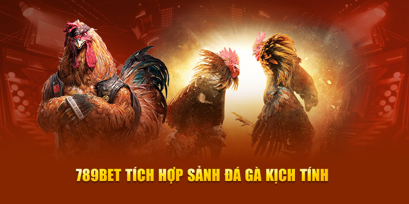 Nền tảng Tobet cung cấp tiền thưởng chào mừng 100% lên đến 2000 reais - Tobet