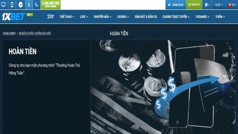 Vậy một tác phẩm đạt đến cấp độ Vesovn cần có chất lượng như thế nào? - Vesovn