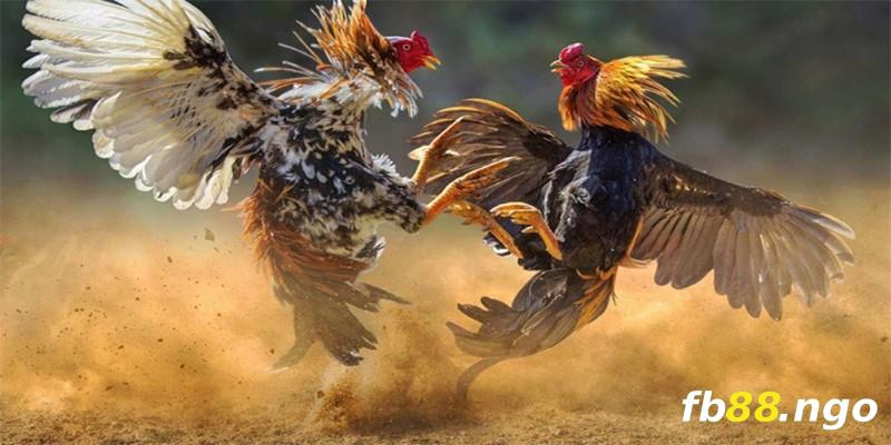 Một số lợi ích khi sử dụng liên kết V6bet chính thức để chơi game - V6bet