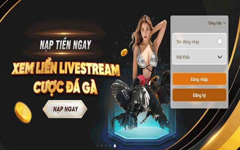 Làm thế nào để kiếm được 50000 đô la từ một công ty game trực tuyến hạng 126Bet? - 126Bet