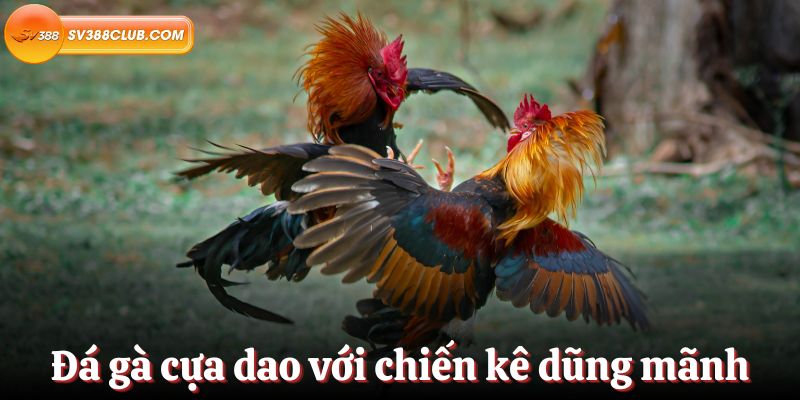 Tất cả các bước để tham gia Chiến dịch Khuyến mãi Người chơi Mới 181Bet - 181Bet