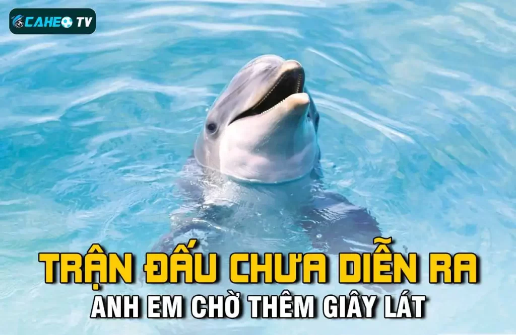 Hướng dẫn trả trước tiền mua nhà hạng 365Vn - 365Vn