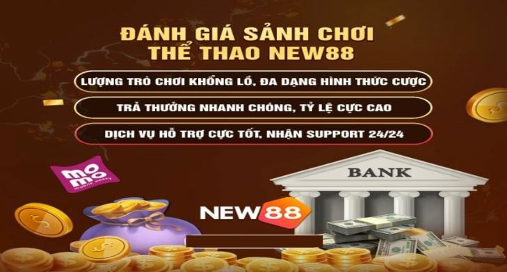 Tại sao nên thử 365Vn Online? - 365Vn